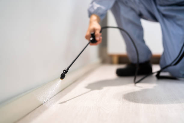 Licensed Pest Control service in Raton, NM - Show Me Pest Control